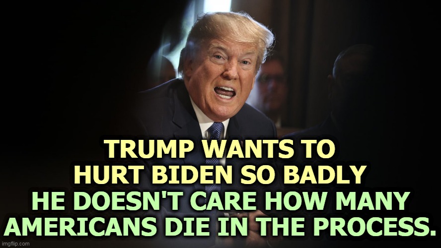 Trump will hurt America and hurt you, but he doesn't care as long as he hurts Biden. | TRUMP WANTS TO HURT BIDEN SO BADLY; HE DOESN'T CARE HOW MANY AMERICANS DIE IN THE PROCESS. | image tagged in trump,selfish,revenge,biden | made w/ Imgflip meme maker