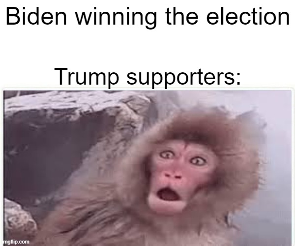 How trump supporters be reacting to biden winning the election rn | Biden winning the election; Trump supporters: | image tagged in election 2020,politics,donald trump,joe biden,memes,political meme | made w/ Imgflip meme maker