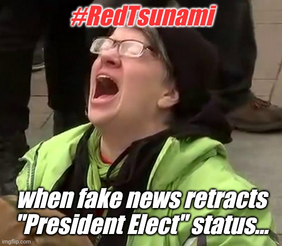 MSM RETRACTION: Think Heads Won't Explode? False Hoax on the Deep State. 4 Year Penalty. Repeat 1st Term. #RedTsunami #TRUMP2020 | #RedTsunami; when fake news retracts "President Elect" status... | image tagged in crying liberal,sad joe biden,election fraud,gitmo,the great awakening,trump 2020 | made w/ Imgflip meme maker