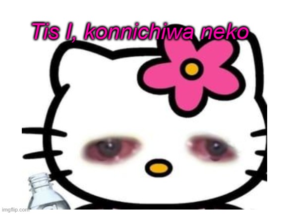 :))))) | Tis I, konnichiwa neko | image tagged in hello kitty,hello,sewmyeyesshut,red eyes | made w/ Imgflip meme maker