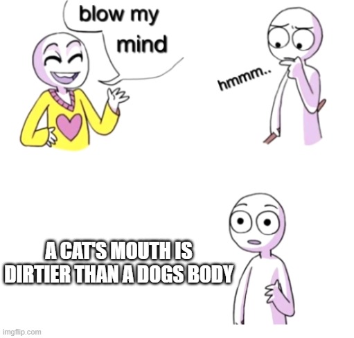 Blow my mind | A CAT'S MOUTH IS DIRTIER THAN A DOGS BODY | image tagged in blow my mind | made w/ Imgflip meme maker