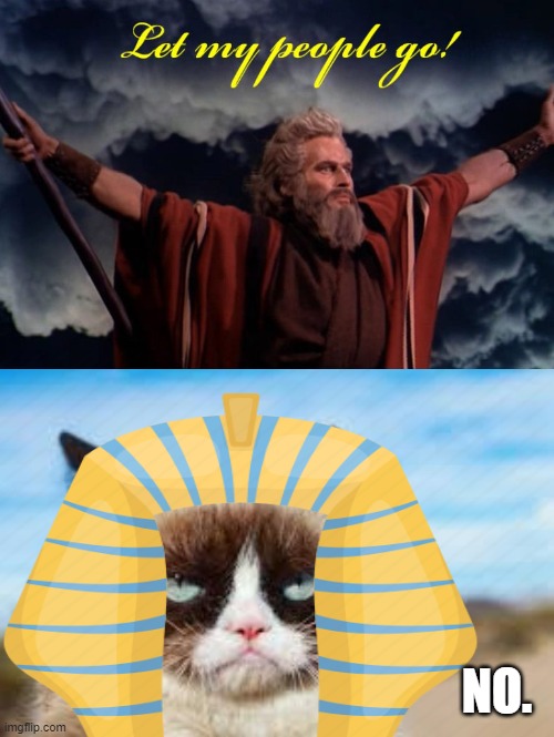 Let My people Go! | NO. | image tagged in moses,grumpy cat | made w/ Imgflip meme maker