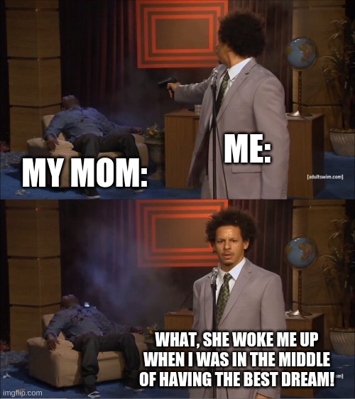 Who Killed Hannibal | ME:; MY MOM:; WHAT, SHE WOKE ME UP WHEN I WAS IN THE MIDDLE OF HAVING THE BEST DREAM! | image tagged in memes,who killed hannibal | made w/ Imgflip meme maker