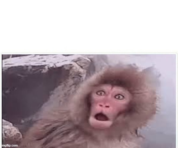 High Quality Surprised monkey Blank Meme Template