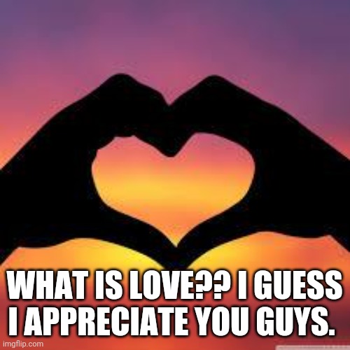 Well some of you guys | WHAT IS LOVE?? I GUESS I APPRECIATE YOU GUYS. | image tagged in love is god | made w/ Imgflip meme maker