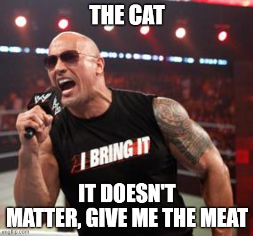The Rock It Doesn't Matter | THE CAT IT DOESN'T MATTER, GIVE ME THE MEAT | image tagged in the rock it doesn't matter | made w/ Imgflip meme maker