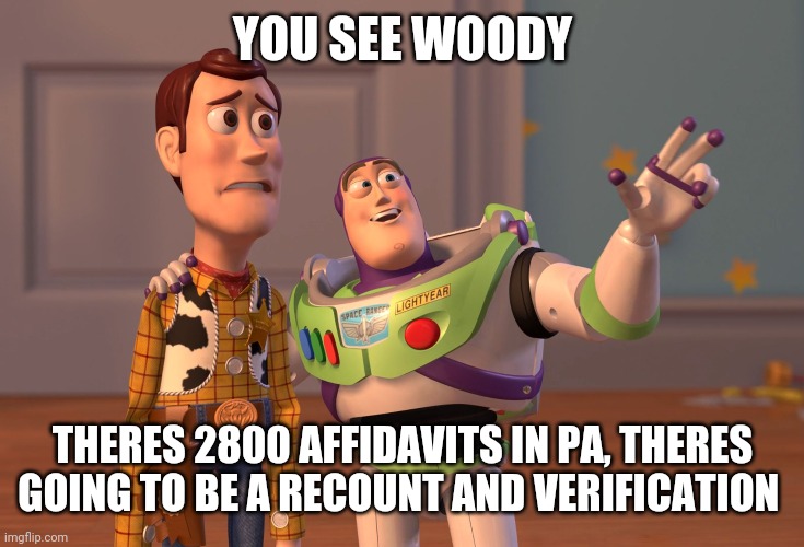 1 state a day | YOU SEE WOODY; THERES 2800 AFFIDAVITS IN PA, THERES GOING TO BE A RECOUNT AND VERIFICATION | image tagged in memes,x x everywhere | made w/ Imgflip meme maker