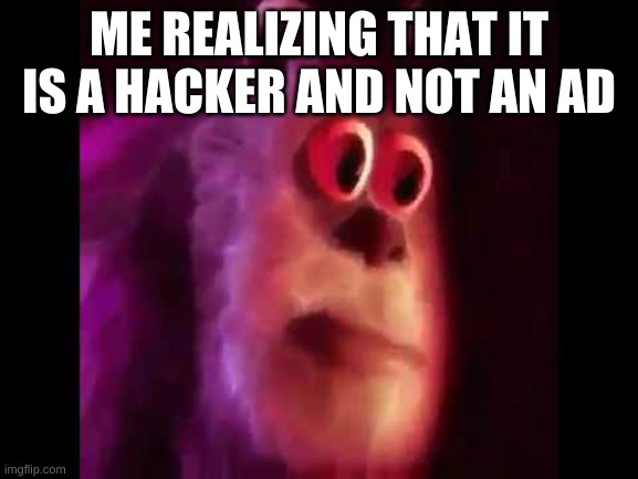 Sully Groan | ME REALIZING THAT IT IS A HACKER AND NOT AN AD | image tagged in sully groan | made w/ Imgflip meme maker