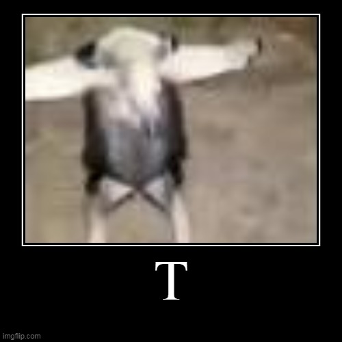 image tagged in funny,t-pose | made w/ Imgflip demotivational maker