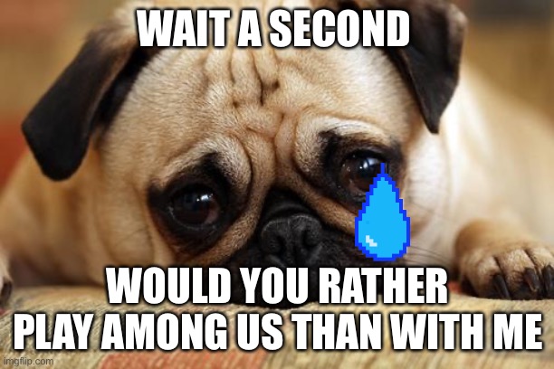 sad pug | WAIT A SECOND; WOULD YOU RATHER PLAY AMONG US THAN WITH ME | image tagged in sad pug | made w/ Imgflip meme maker