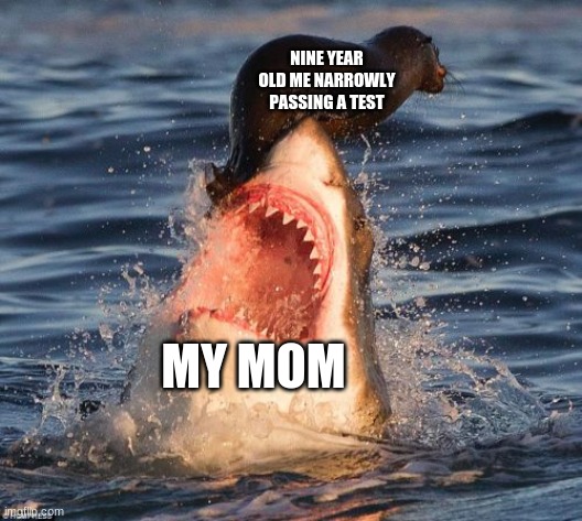 Travelonshark Meme | NINE YEAR OLD ME NARROWLY PASSING A TEST; MY MOM | image tagged in memes,travelonshark | made w/ Imgflip meme maker