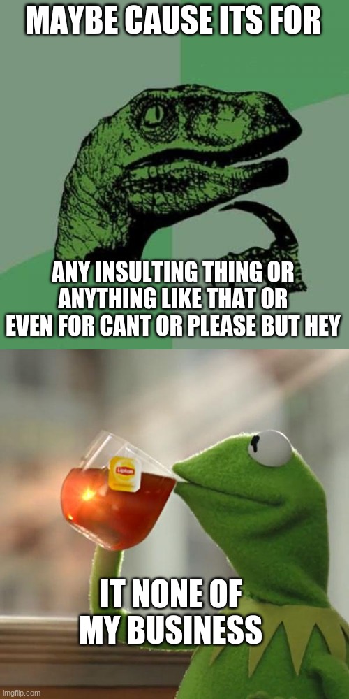 MAYBE CAUSE ITS FOR ANY INSULTING THING OR ANYTHING LIKE THAT OR EVEN FOR CANT OR PLEASE BUT HEY IT NONE OF MY BUSINESS | image tagged in memes,philosoraptor,but that's none of my business | made w/ Imgflip meme maker