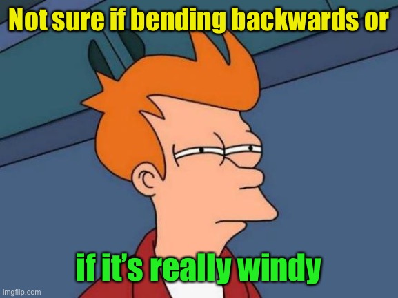 Futurama Fry Meme | Not sure if bending backwards or if it’s really windy | image tagged in memes,futurama fry | made w/ Imgflip meme maker