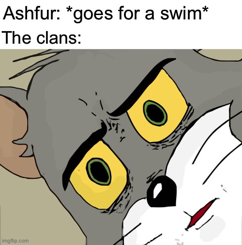 Unsettled Tom Meme | Ashfur: *goes for a swim*; The clans: | image tagged in memes,unsettled tom | made w/ Imgflip meme maker