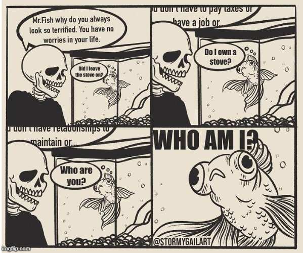 Confuzzled fishy | made w/ Imgflip meme maker