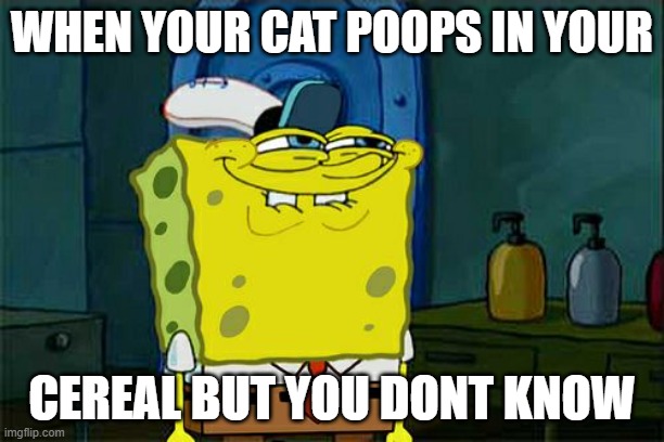 Don't You Squidward | WHEN YOUR CAT POOPS IN YOUR; CEREAL BUT YOU DONT KNOW | image tagged in memes,don't you squidward,cats | made w/ Imgflip meme maker