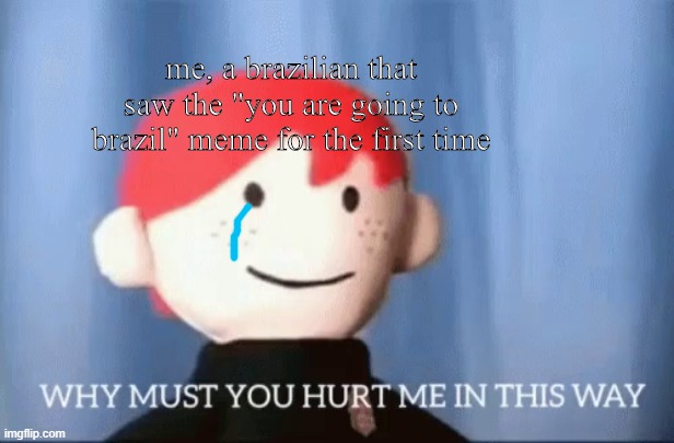 yes, i know that meme was not intetional to hurt our feelings...but it hurts anyway :,( | me, a brazilian that saw the "you are going to brazil" meme for the first time | image tagged in why must you hurt me in this way | made w/ Imgflip meme maker