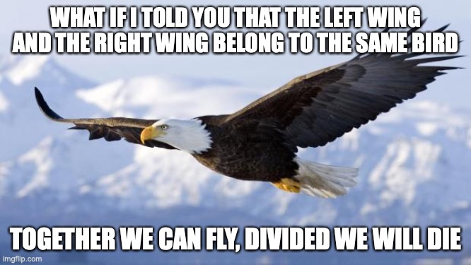 eagle | WHAT IF I TOLD YOU THAT THE LEFT WING AND THE RIGHT WING BELONG TO THE SAME BIRD; TOGETHER WE CAN FLY, DIVIDED WE WILL DIE | image tagged in eagle | made w/ Imgflip meme maker