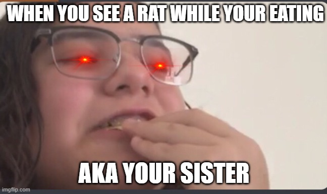 Rat Sister | WHEN YOU SEE A RAT WHILE YOUR EATING; AKA YOUR SISTER | image tagged in rat,sisters | made w/ Imgflip meme maker