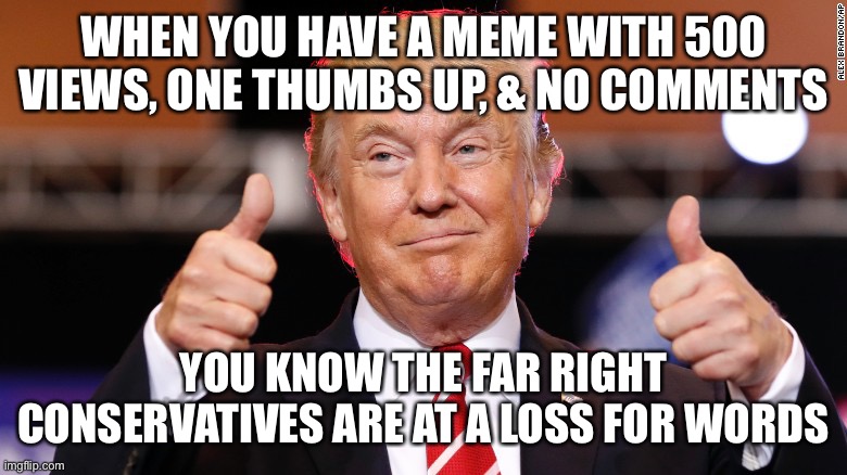 Trump Approves | WHEN YOU HAVE A MEME WITH 500 VIEWS, ONE THUMBS UP, & NO COMMENTS; YOU KNOW THE FAR RIGHT CONSERVATIVES ARE AT A LOSS FOR WORDS | image tagged in donald trump thumbs up,election 2020,joe biden,conservatives | made w/ Imgflip meme maker