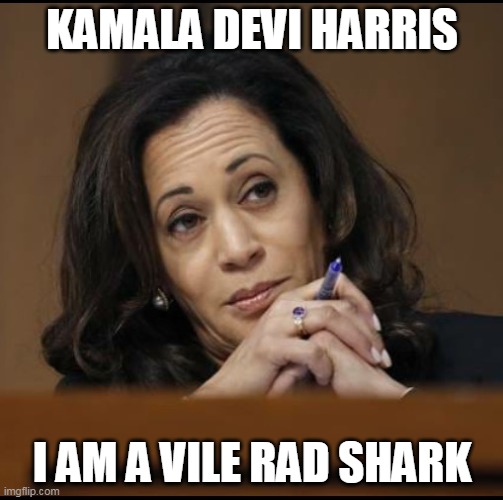 An Accurate Anagram | KAMALA DEVI HARRIS; I AM A VILE RAD SHARK | image tagged in kamala harris,shark,vice president,black woman,2020 elections,joe biden | made w/ Imgflip meme maker