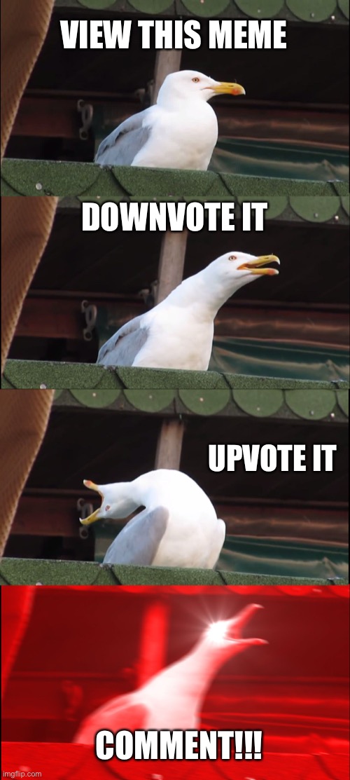 Inhaling Seagull Meme | VIEW THIS MEME; DOWNVOTE IT; UPVOTE IT; COMMENT!!! | image tagged in memes,inhaling seagull | made w/ Imgflip meme maker
