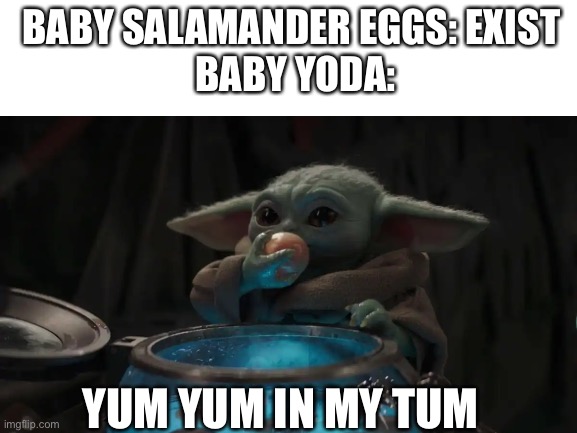 Baby Yoda Memes Gifs Imgflip