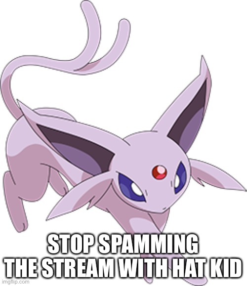 STOP SPAMMING THE STREAM WITH HAT KID | made w/ Imgflip meme maker
