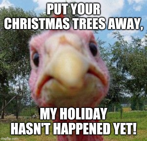 For all you early Christmas folk | PUT YOUR CHRISTMAS TREES AWAY, MY HOLIDAY HASN'T HAPPENED YET! | image tagged in angry turkey,thanksgiving,christmas | made w/ Imgflip meme maker