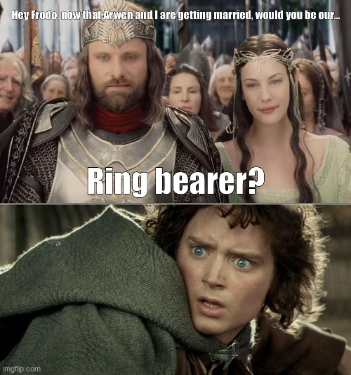 not again! | image tagged in lord of the rings,lotr,frodo,memes,funny | made w/ Imgflip meme maker