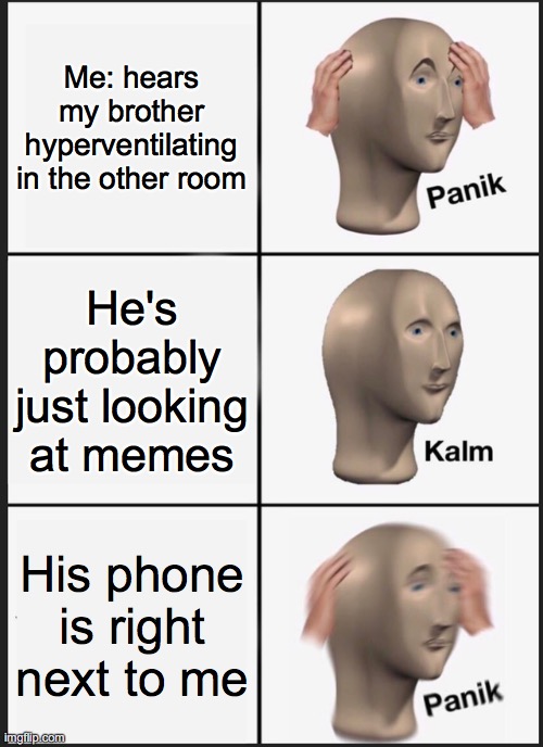 I heard my bro laughing at a meme and thought of this | Me: hears my brother hyperventilating in the other room; He's probably just looking at memes; His phone is right next to me | image tagged in memes,panik kalm panik | made w/ Imgflip meme maker