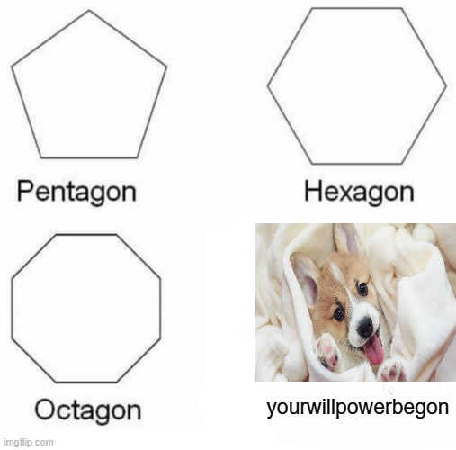 i know mine is | yourwillpowerbegon | image tagged in memes,pentagon hexagon octagon,cute dog | made w/ Imgflip meme maker