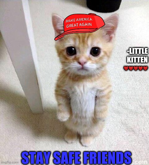 Cute Cat | -LITTLE KITTEN; ❤❤❤❤❤; STAY SAFE FRIENDS | image tagged in memes,cute cat | made w/ Imgflip meme maker