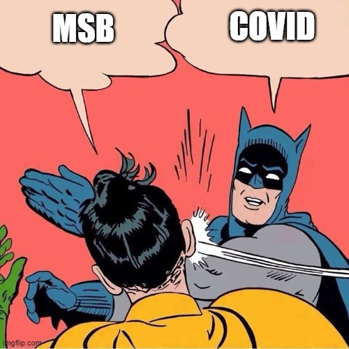 Batman slapping Robin | COVID; MSB | image tagged in batman slapping robin | made w/ Imgflip meme maker