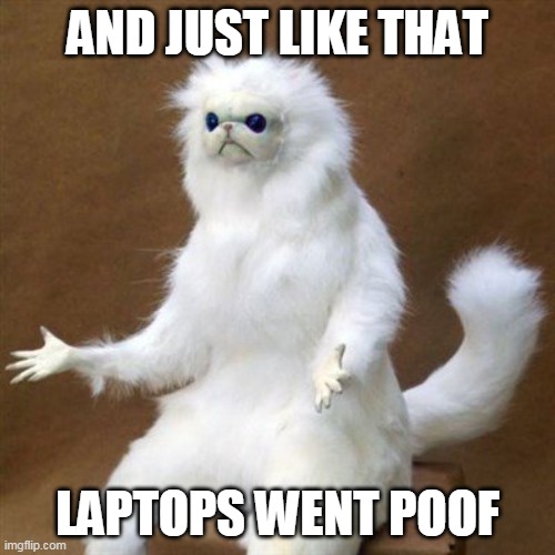 Cat poof | AND JUST LIKE THAT; LAPTOPS WENT POOF | image tagged in cat poof | made w/ Imgflip meme maker