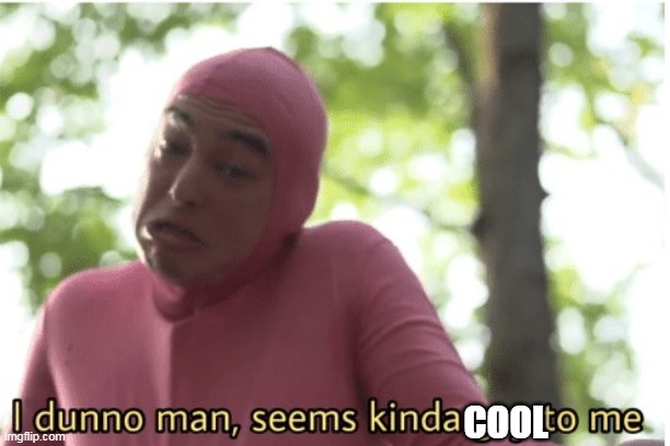 I dunno man seems kinda gay to me | COOL | image tagged in i dunno man seems kinda gay to me | made w/ Imgflip meme maker