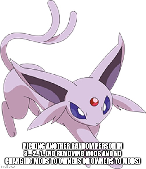 PICKING ANOTHER RANDOM PERSON IN 3... 2.. 1.. (NO REMOVING MODS AND NO CHANGING MODS TO OWNERS OR OWNERS TO MODS) | made w/ Imgflip meme maker