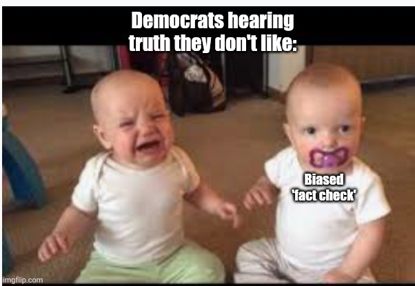 Social media babysitter | Democrats hearing truth they don't like:; Biased 'fact check' | image tagged in pacifier | made w/ Imgflip meme maker