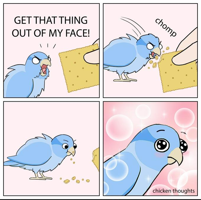 High Quality Get That Thing Out Of My Face Blank Meme Template
