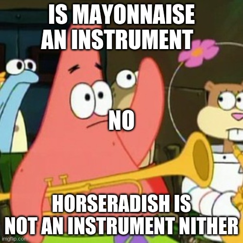 No Patrick | IS MAYONNAISE AN INSTRUMENT; NO; HORSERADISH IS NOT AN INSTRUMENT NITHER | image tagged in memes,no patrick | made w/ Imgflip meme maker