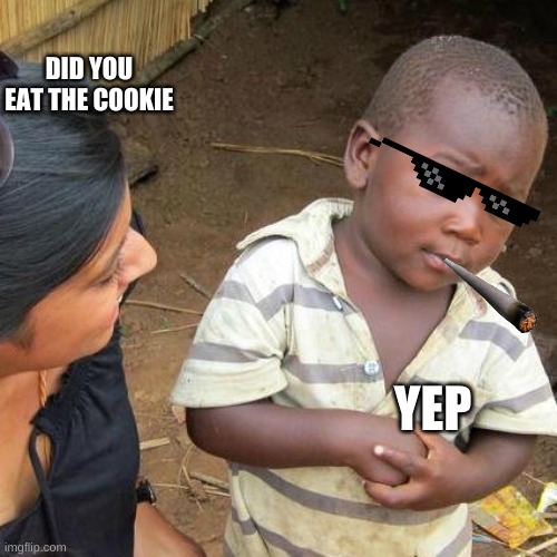 Third World Skeptical Kid Meme | DID YOU EAT THE COOKIE; YEP | image tagged in memes,third world skeptical kid | made w/ Imgflip meme maker