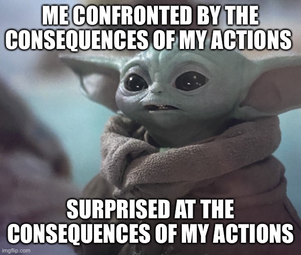 ME CONFRONTED BY THE CONSEQUENCES OF MY ACTIONS; SURPRISED AT THE CONSEQUENCES OF MY ACTIONS | image tagged in baby yoda | made w/ Imgflip meme maker