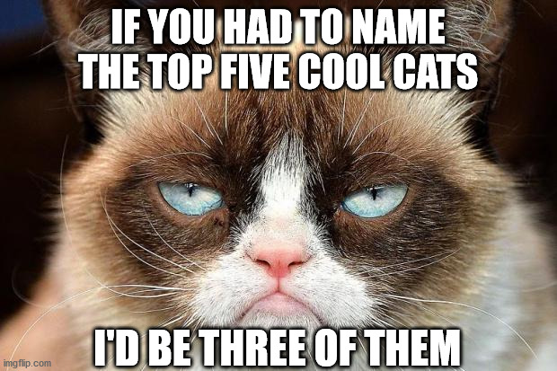 Grumpy Cat Not Amused Meme | IF YOU HAD TO NAME THE TOP FIVE COOL CATS; I'D BE THREE OF THEM | image tagged in memes,grumpy cat not amused,grumpy cat | made w/ Imgflip meme maker