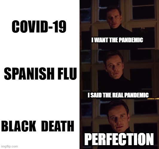 perfection | COVID-19; I WANT THE PANDEMIC; SPANISH FLU; I SAID THE REAL PANDEMIC; BLACK  DEATH; PERFECTION | image tagged in perfection | made w/ Imgflip meme maker