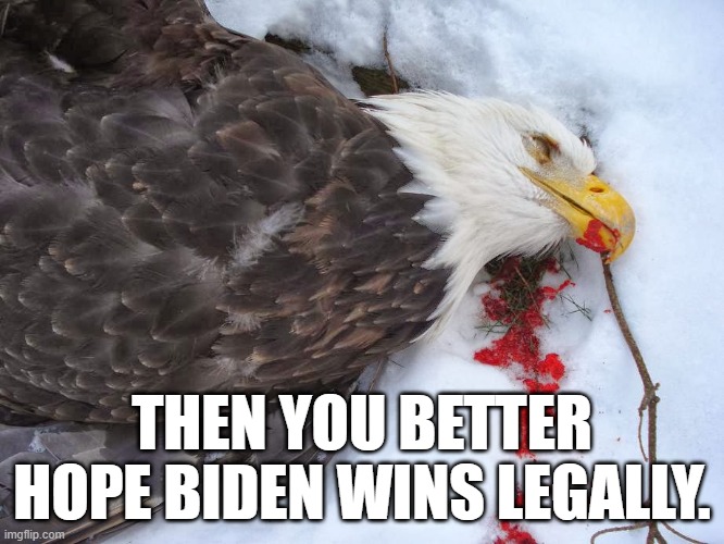 THEN YOU BETTER HOPE BIDEN WINS LEGALLY. | made w/ Imgflip meme maker