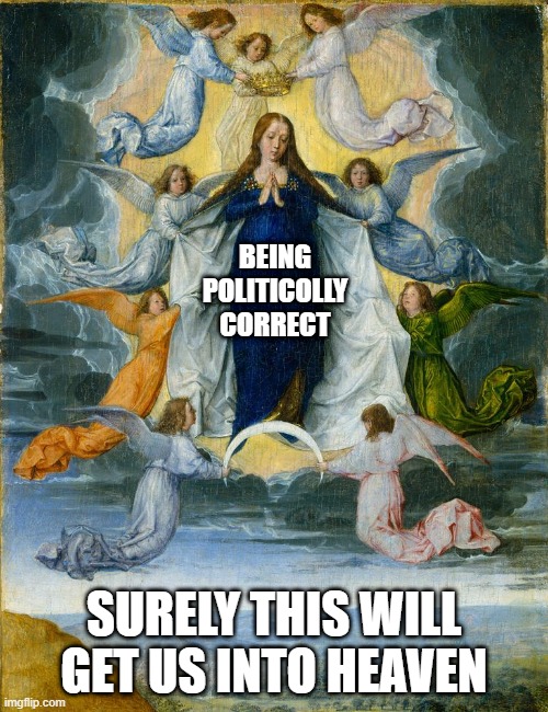 2020 Be Like | BEING
POLITICOLLY CORRECT; SURELY THIS WILL GET US INTO HEAVEN | image tagged in funny,politics | made w/ Imgflip meme maker