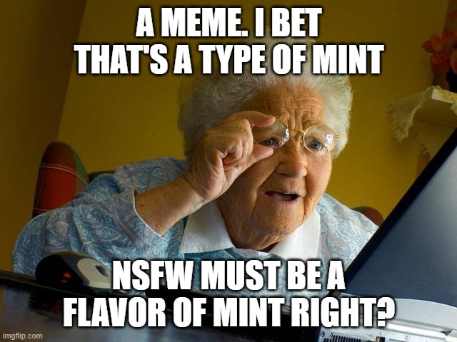 GRANNY NO- | A MEME. I BET THAT'S A TYPE OF MINT; NSFW MUST BE A FLAVOR OF MINT RIGHT? | image tagged in memes,grandma finds the internet | made w/ Imgflip meme maker