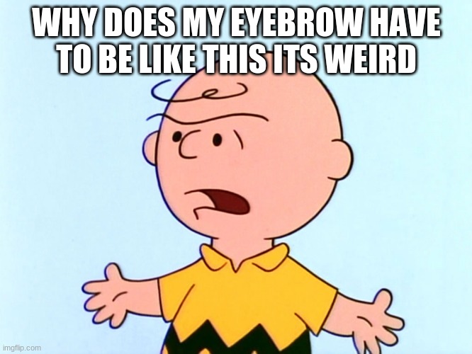 Angry Charlie Brown | WHY DOES MY EYEBROW HAVE TO BE LIKE THIS ITS WEIRD | image tagged in angry charlie brown | made w/ Imgflip meme maker