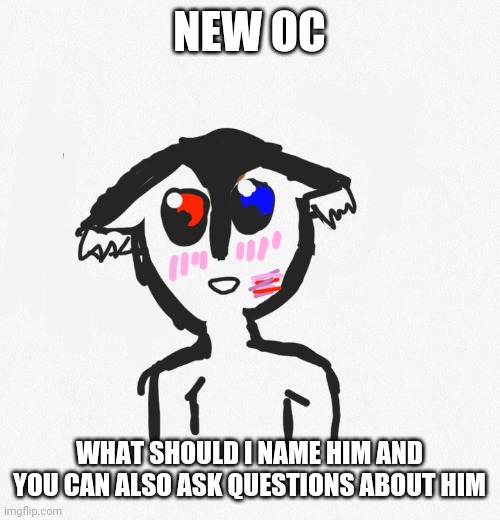 New oc! | NEW OC; WHAT SHOULD I NAME HIM AND YOU CAN ALSO ASK QUESTIONS ABOUT HIM | made w/ Imgflip meme maker