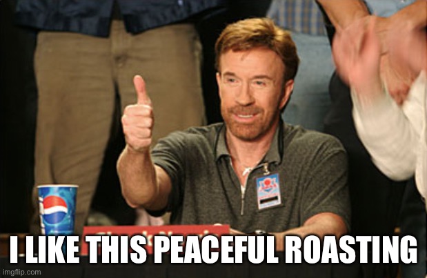 Chuck Norris Approves Meme | I LIKE THIS PEACEFUL ROASTING | image tagged in memes,chuck norris approves,chuck norris | made w/ Imgflip meme maker